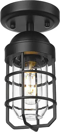 Emliviar Industrial Ceiling Light, Semi Flush Mount Lighting for Indoor, Clear Tempered Glass Shade in Black Finish, GE255F BK
