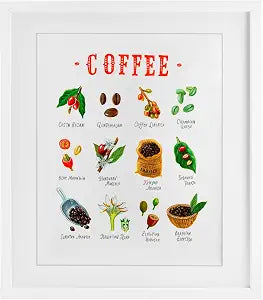 Coffee Beans Origins Kitchen, 13 x 16 Inch Framed Print Under Glass