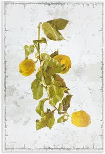 Natural Lemon Fruits Rustic, 10 x 15 Inch Mounted Print on Wall Plaque
