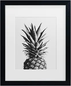 Trademark Fine Art Framed Wall Art - 1x Studio III 'Pineapple Black A White 02' Wall Decor with Matted Frame