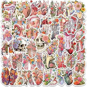 Human Body Organs Floral Stickers - 50Pcs Waterproof Vinyl Anatomy Medical Nurse Stickers for Water Bottles,Laptop,Computer,Refrigerator,Scrapbook