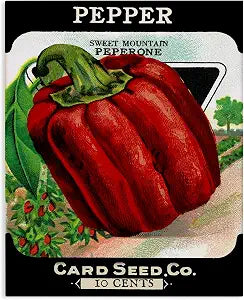Stupell Industries Vintage Garden Peppers, 16 x 20 Inch Canvas Wall Art