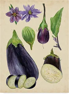 Trademark Fine Art Aubergine Study I by Melissa Wang, 18x24