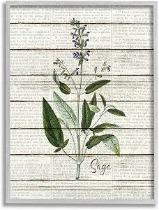 Stupell Industries 'Sage Vintage Herb Kitchen Dining Room Word Collage Design', Framed Giclee Art, Gray, 11 x 14 Inches, Easy to Hang and Sturdy, Made in USA, by Kim Allen