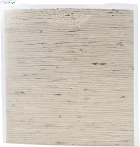 Storage Studios Paper File 3-Pack, 12.75 x 12.95 x 0.13 Inches, Clear (CH92602)