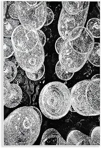 Glitzy Wine Glasses Glam, 13 x 19 Inch Mounted Print on Wall Plaque