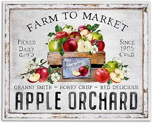 Farmhouse Apple Orchard Still Life, 11 x 14 Inch Framed Gicle Print