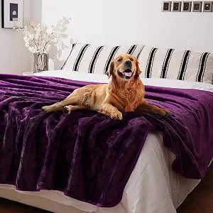 Sunsleek Bed Blanket Waterproof Soft Sherpa Fleece Blanket for Sofa Couch