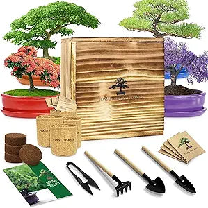 LUOJIBIE Bonsai Tree Starter Kit for Beginners - Indoor Live Plant Gardening Adult Craft DIY Kits - Unique Christmas, Birthday, White Elephant Gifts for Women, Men, Boys & Girls