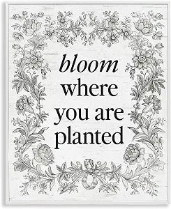Inspiring Bloom Vintage Border, 16 x 20 Inch Framed Gicle Print