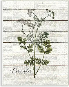 Vintage Herb Kitchen Dining, 13 x 19 Inch Mounted Print on Wall Plaque