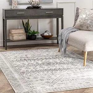 nuLOOM Frances Light Grey/Ivory, 2'6" x 8', Transitional Moroccan, Soft and Cozy, High Traffic, Stain Resistant, Easy Clean, Durable Runner for Bedroom, Living Room, Dining, Den, Foyer, Entryway