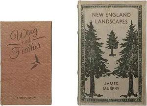 Creative Co-Op MDF & Canvas Book Storage Boxes, Set of 2 New England Landscapes