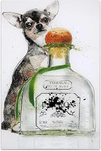 Empire Art Direct Viva Mexico Frameless Free Floating Tempered Glass Dog Wall Art Ready to Hang, 24" x 16" x 0.2"