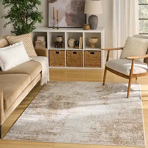 Nourison Home Dekor Ivory Beige 4' x 6' Area Rug - Easy Clean, Non Shedding, Bed Room, Living Room, Dining Room, Kitchen (4' x 6')