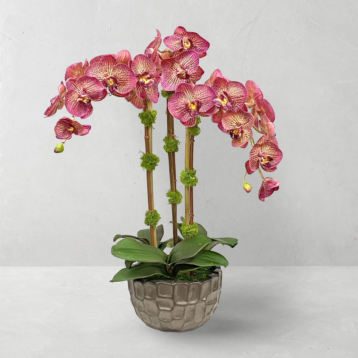 Faux Orchids in Planter, 23",WSNOADS,Florals & Centerpieces