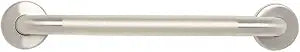 Seachrome 18" Wall Mount Grab Bar, 1 " Diameter, Concealed Flanges, ADA Compliant, Peened with Satin Ends