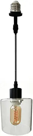 Screw in Glass Lampshade Hanging Light Fixture