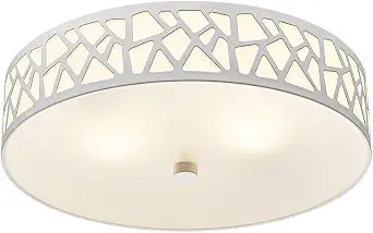2-Light Flush Mount Ceiling Light, 12 Inch Modern Light Fixtures