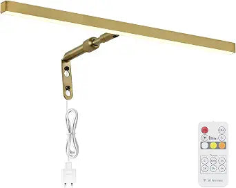 Brass Picture Lights for Paintings Plug in, 16" 4W Adjustable LED Gold Picture Light Art Light, Remote Control Gallery Painting Wall Light for Picture Display Dartboard Art Work (Gold)