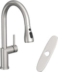 Brushed Nickel Kitchen Faucet with Pull Down Sprayer Stainless Steel