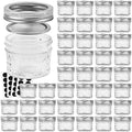 VERONES 40 PACK Mason Jars, 4 OZ Canning Jars Jelly Jars With Regular Lids