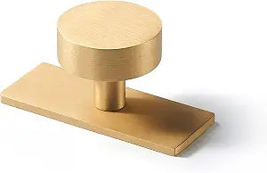 Brushed Gold Brass Cabinet Knobs with Backplate, 2 Pack