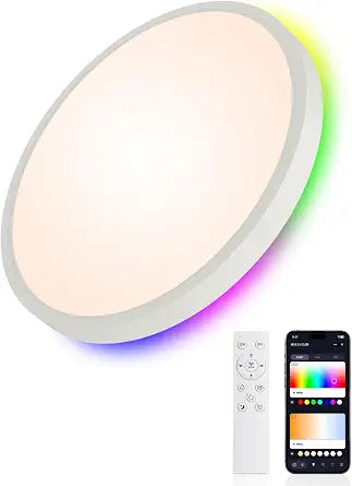 Smart RGB Ceiling Light 12 Inch RGBCCT WiFi App Voice Control