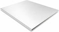 Stainless Steel Cutting Board with Lip, Dishwasher Safe (15.7 x 11.8 Inch)