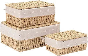 GIB Small Wicker Storage Baskets with Lid/Liner Woven Cute Decorative Boxes