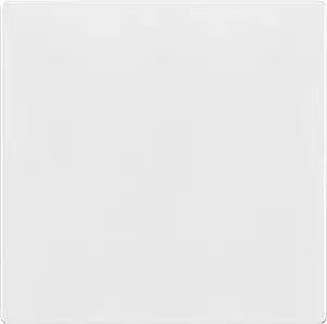 TG Mid-Size Screwless Double Blank Wall Plate Cover, 2-Gang, 1 Pack, White