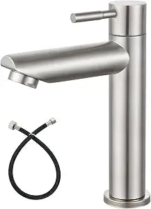 Heyalan Cold Water Bathroom Sink Faucet, Single Handle, Brushed Nickelt