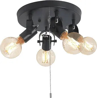 Modern 4-Light Flush Mount Ceiling Light with Pull Chain,Black