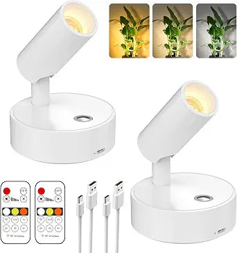 Olafus 2 Pack LED Wireless Spotlight Indoor with Timer/Remote, White