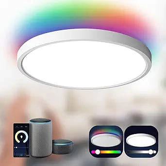 TALOYA Smart Ceiling Light,Main Light and RGB Night Light Dimmable,12 Inch
