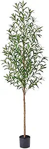 VeriNatural 6ft Artificial Olive Tree with Real Wood Trunk