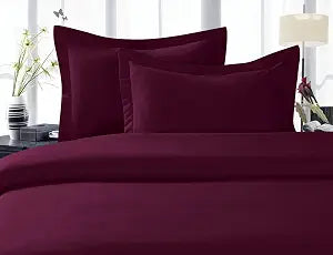 Elegant Comfort 1500 Premium Hotel Quality Microfiber 3 Piece Wrinkle Free and Fade Resistant Luxurious Duvet Cover Set, Full/Queen, Eggplant Purple