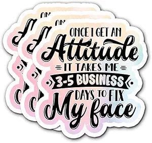 Once I Get an Attitude Sticker 3Pcs Sarcastic Funny Face Stickers Vinyl Waterproof Decals for Notebook, Tumbler, Laptop and Water Bottle