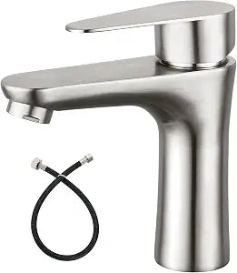Heyalan Single Handle Cold Water Bathroom Sink Faucet, Brushed Nickel