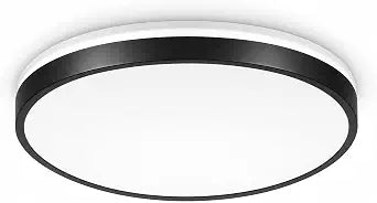 24W LED Ceiling Lamp Black Flush Mount Ceiling Light with Bluetooth