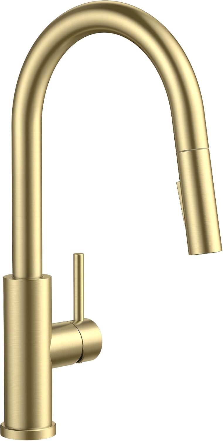 FORIOUS Gold Kitchen Faucet with Pull Down Sprayer, Classic Single Handle