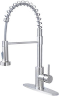 SHACO Kitchen Faucet with Pull Down Sprayer, Kitchen Sink Faucet