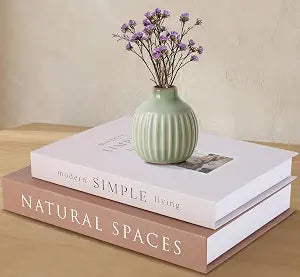 Decorative Books for Home Decor with Hidden Storage, Faux Book Box Set of 2 for Coffee Table & Shelves, Neutral Book Decor Aesthetic for Living Room Styling
