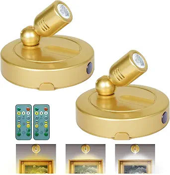 Picture Light Battery Operated Indoor Spot Light for Plants Tree