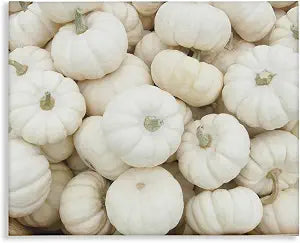 Stupell Industries Autumnal White Pumpkin, 16 x 20 Inch Canvas Wall Art