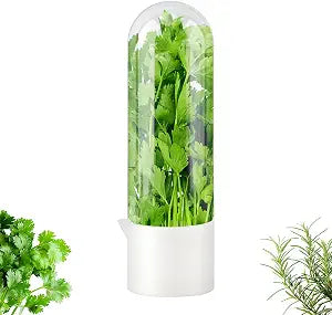 Fresh Herb Saver Cilantro Storage Containers for Refrigerator, Transparent Herbs Saver fits Fridge Asparagus Parsley Mint Leaves, Keeps Greens Vegetables for 2-3 Weeks(SIZE:1 pc)