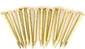 Gold Small Nails, 100PCS Hardware Nails Assortment Kit, Round Head Brass Nail, Tiny Finishing Nails Accessories for Household Wood Picture Hanging String Art (18mm Long)