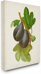 Stupell Industries 'Vintage Fruit Plum Painting'| Canvas Art