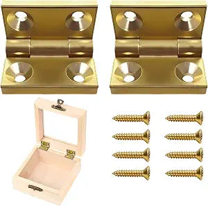Small Brass Hinges, Mini Butt Hinges with Screws for Wood Jewelry Boxes