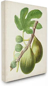 Vintage Fig Still Life Fruit, 16 x 20 Inch Canvas Wall Art
